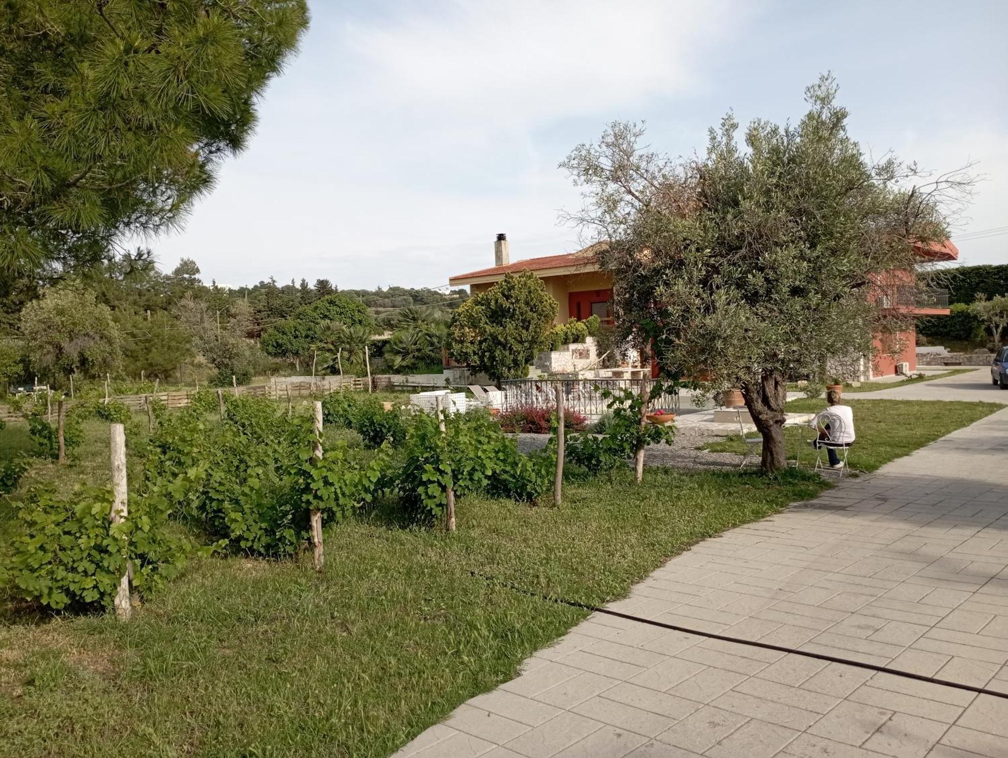 Emarmene Home With Private Pool Near Rhodes Town & Airport Koskinou  Екстериор снимка